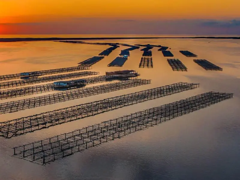 Cataluña lanza un plan millonario para descarbonizar la acuicultura del delta del Ebro