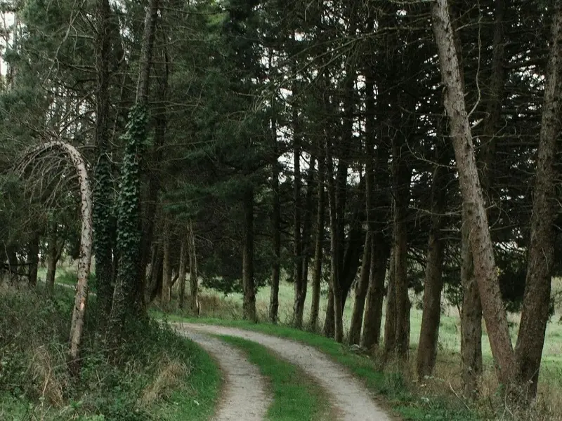 Rutas guiadas gratuitas en Navarra para descubrir su biodiversidad este primavera