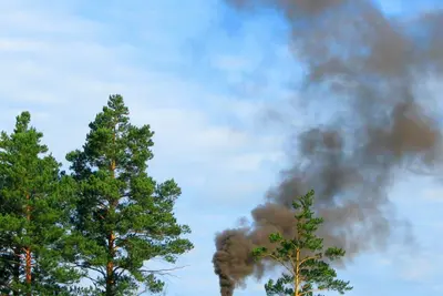 Galicia lanza app para alertar incendios y mejorar la respuesta inmediata