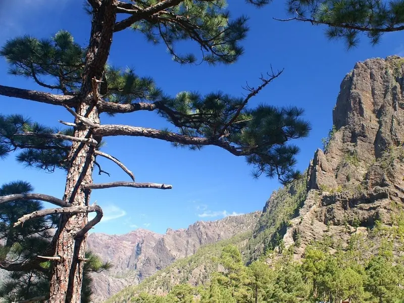 Canarias impulsa urgentemente la ley de biodiversidad y recursos naturales