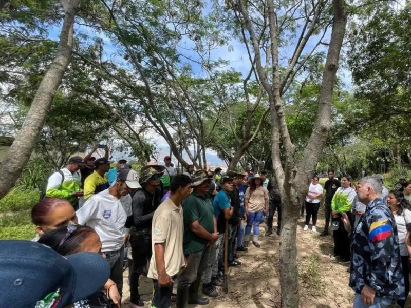 Venezuela planea plantar 11 millones de árboles para recuperar ecosistemas hasta 2026