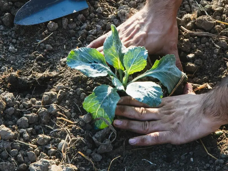 La agricultura ecológica resiliente, clave ante la crisis energética en el sector agrícola