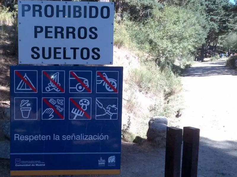 Multas de hasta 200.000 euros por soltar perros en espacios naturales protegidos