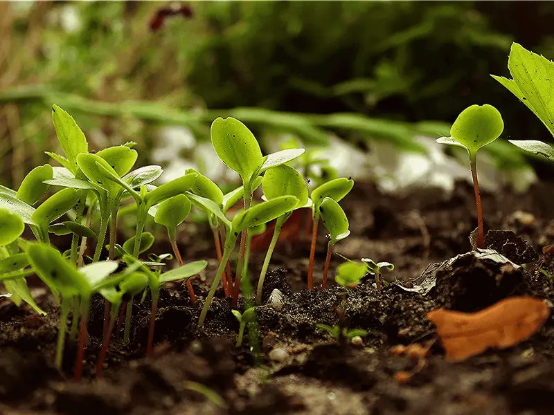 La producción ecológica en Navarra crece y se consolida con más de 72.000 hectáreas certificadas