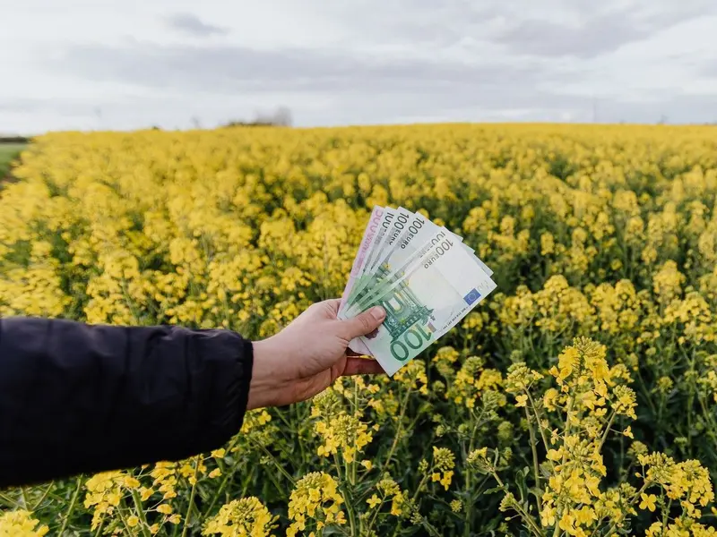 Inversión millonaria en España para proteger la biodiversidad y mejorar el medio ambiente