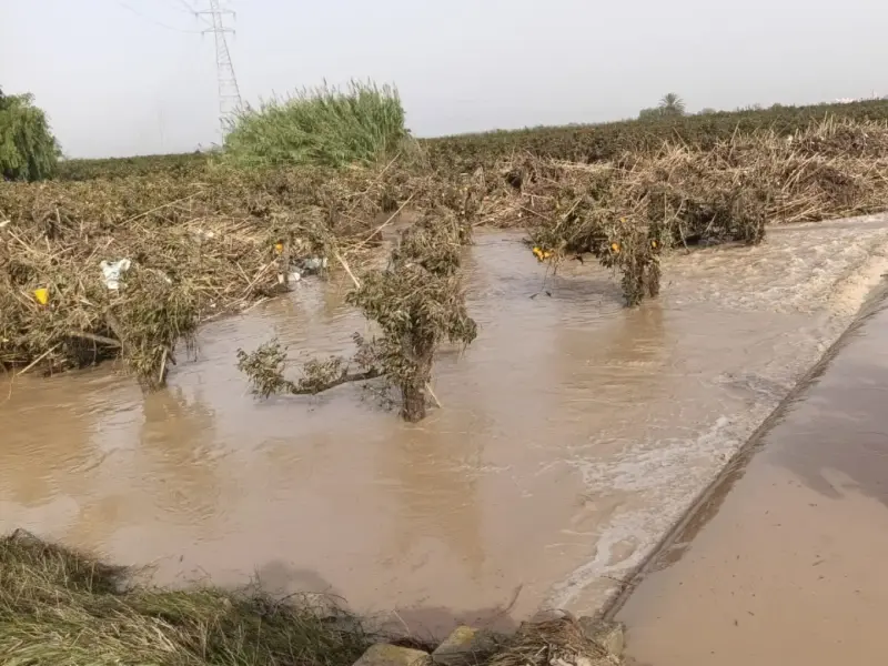 Agricultores critican a MITECO por incluir fincas en suelo público sin compensación tras inundaciones