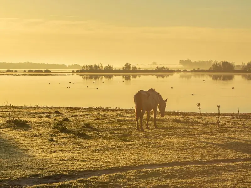 Doñana sigue en riesgo por la minería 28 años después del desastre de Aznalcóllar