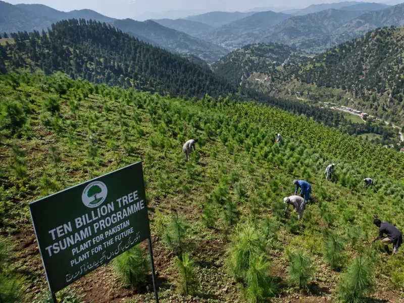 Pakistán lanza un ambicioso plan para plantar 10.000 millones de árboles