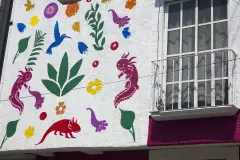 La 'ajolotización' de Ciudad de México frente a la extinción del ajolote