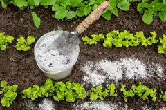 Las cenizas de leña, un recurso valioso para mejorar la salud del suelo