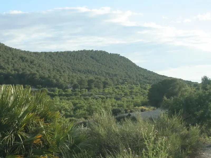Sierra Escalona avanza hacia su declaración como parque natural tras aprobar el PORN