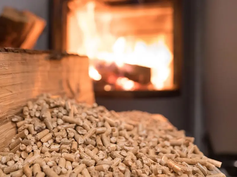 España destaca como uno de los cinco mayores productores de pellets ENplus® en el mundo