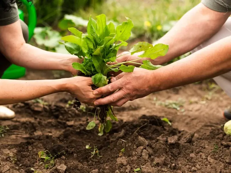 I Congreso Internacional de Biodiversidad y Agricultura: un paso hacia un campo sostenible