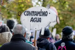 Más de 260.000 personas sin agua potable por nitratos en España