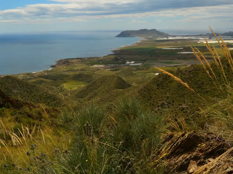 La importancia de las reservas marinas de Murcia para la conservación del Mediterráneo