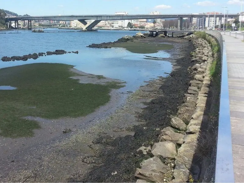 Retraso en el dragado del río Lérez por nuevos estudios ambientales exigidos por el Gobierno