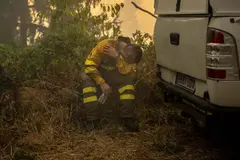 Bomberos forestales en España: precariedad persiste un año tras grandes incendios