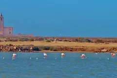Las Salinas de Cabo de Gata secas por segunda vez: grave crisis ecológica