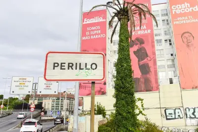 Oleiros intenta salvar la palmera de la Casa Carnicero tras su derribo