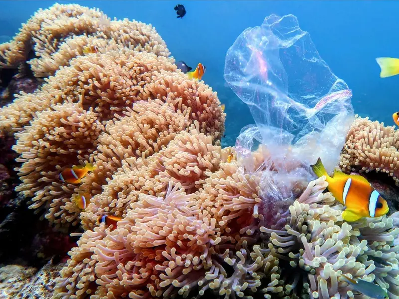 Los océanos contienen un 20% de contaminación química humana, según estudio