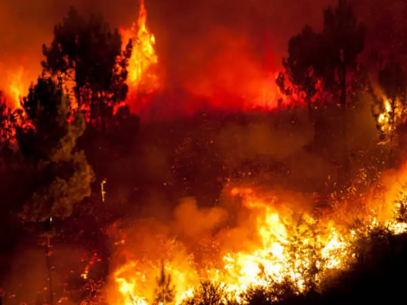 Informe de la OMM revela el impacto del calor extremo y los incendios en España