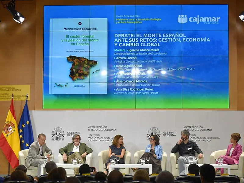 Investigación advierte sobre el riesgo de incendios forestales en España por el cambio climático