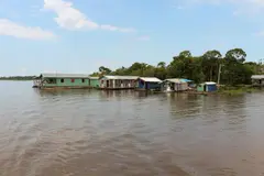 El avance del crimen organizado en la Amazonía amenaza ecosistemas y comunidades indígenas