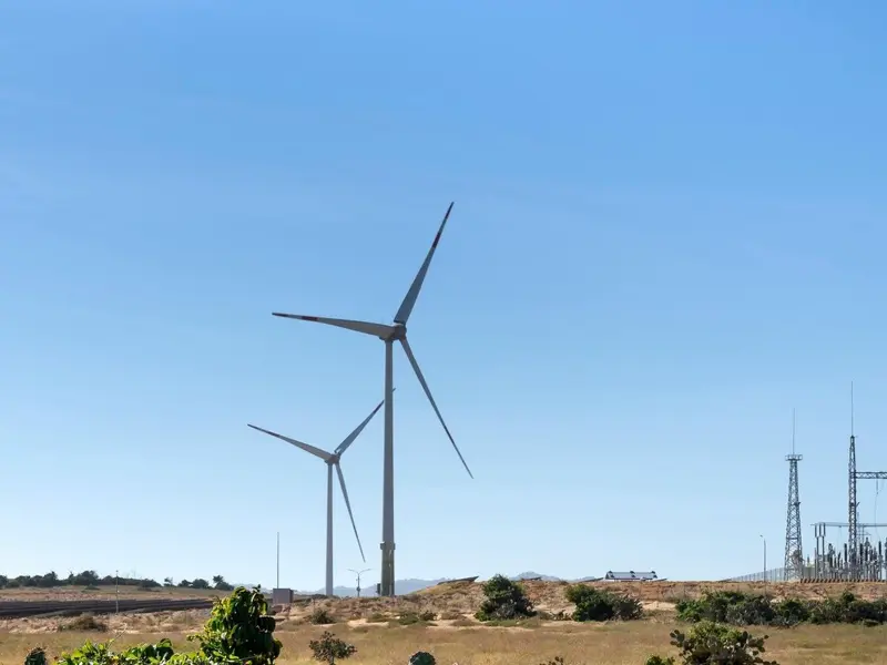 La contaminación lumínica y acústica amenazan la vida marina