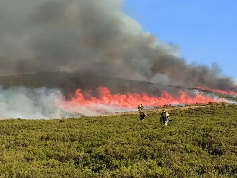 Cataluña implementa gestión forestal para prevenir incendios y proteger bosques