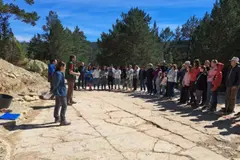 Nuevas huellas de dinosaurios carnívoros descubiertas en Teruel