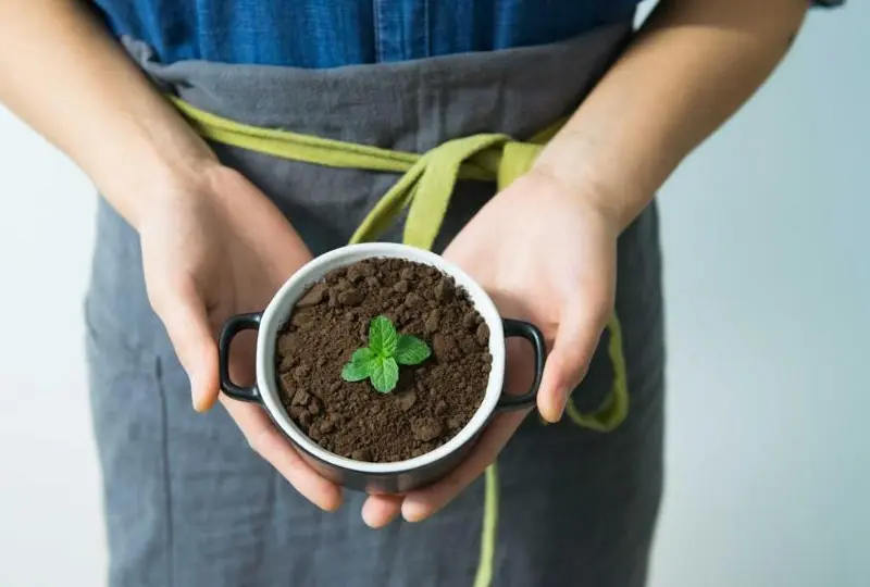 Eivissa se compromete a impulsar la sostenibilidad y la lucha contra el cambio climático