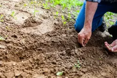 La aprobación de las NGT en Europa reaviva el debate sobre la agricultura sostenible