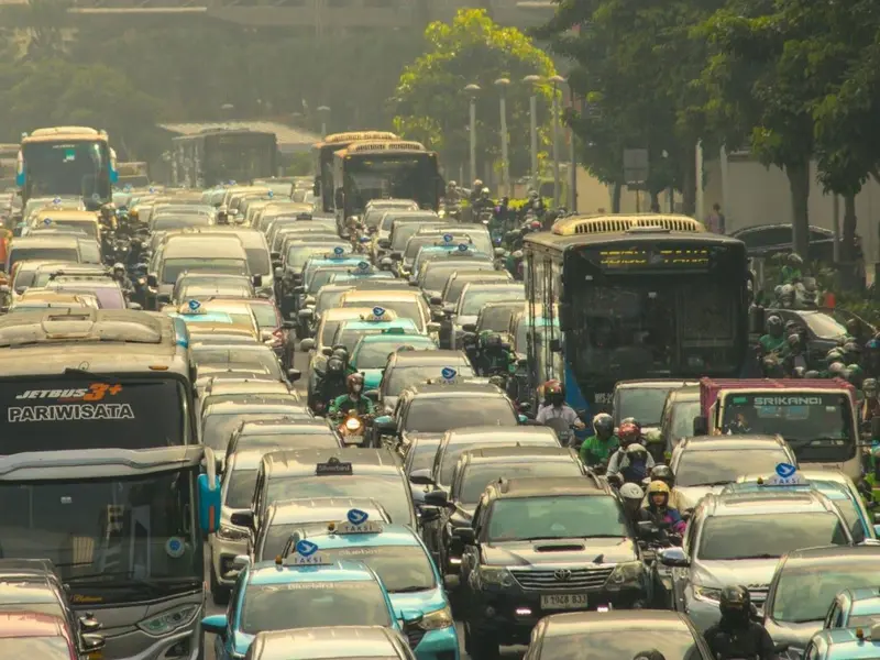 La contaminación incrementa la grasa corporal y reduce la masa muscular