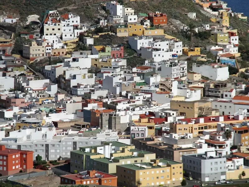 SEO BirdLife advierte sobre el riesgo del Rally Islas Canarias para el pinzón azul en peligro