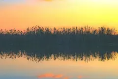 WWF se opone a eliminar restricciones de riego en Doñana por riesgo al acuífero