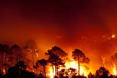 España y Aragón refuerzan campañas de prevención contra incendios forestales para el verano 2026