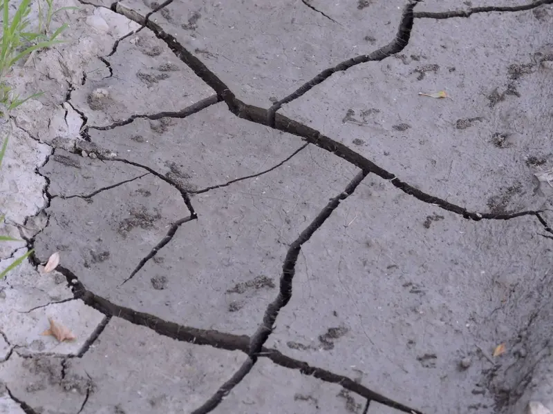 Disminuye la financiación climática global en 2024 complicando metas futuras