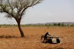 Crisis humanitaria en África oriental por sequías, inundaciones y conflictos, según la ONU