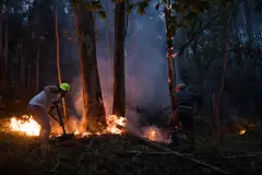 Incendios forestales arrasan 26.794 hectáreas en España en 2026, según Copernicus