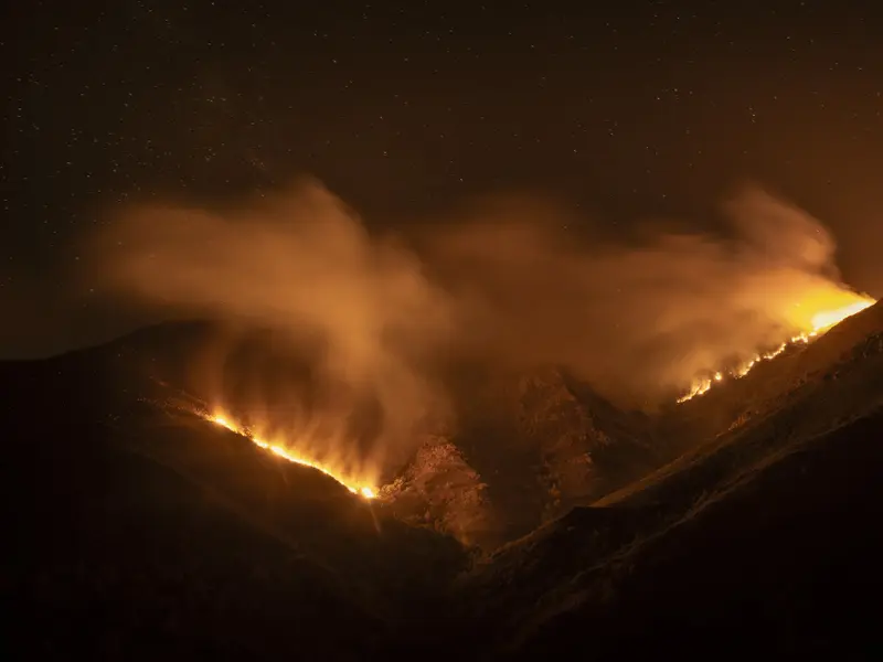 Incendios forestales y economía verde en Mangas Verdes 487