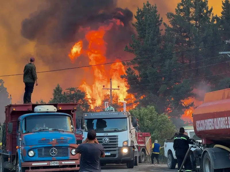 Incendios en la Patagonia: cómo prevenir y adaptarse al cambio climático