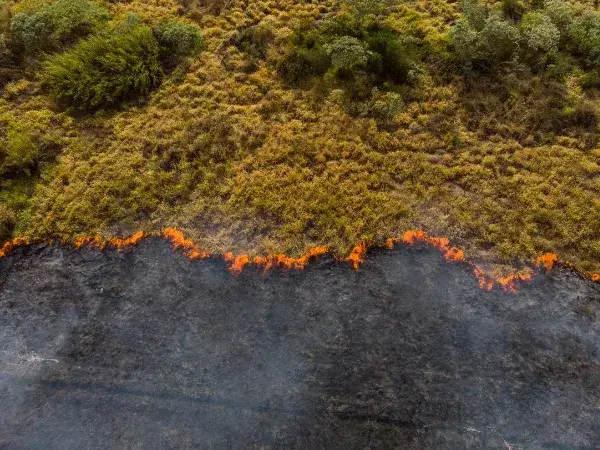 Los incendios forestales en España en 2025: un año devastador
