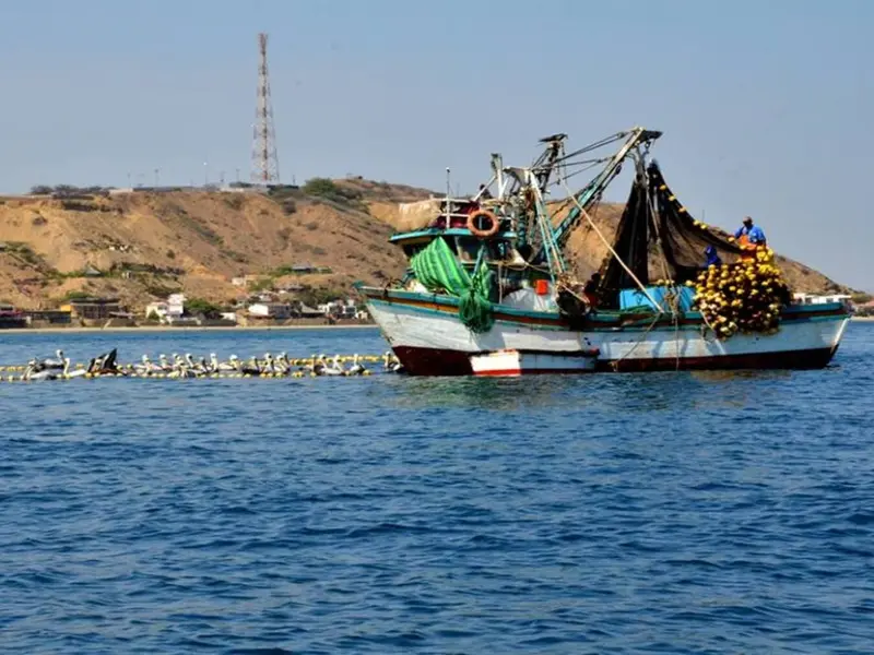 Día Internacional contra la Pesca Ilegal 2026: una alerta sobre los océanos