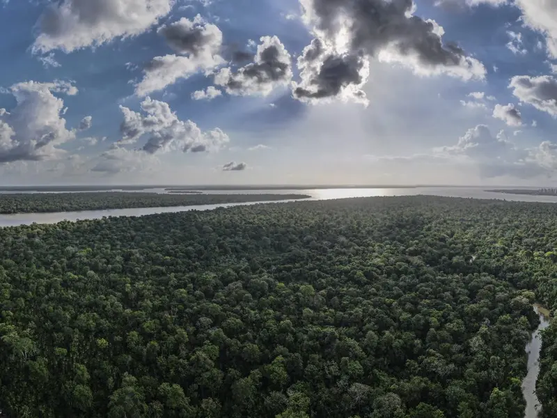La deforestación en los bosques tropicales de Brasil alcanza mínimos históricos