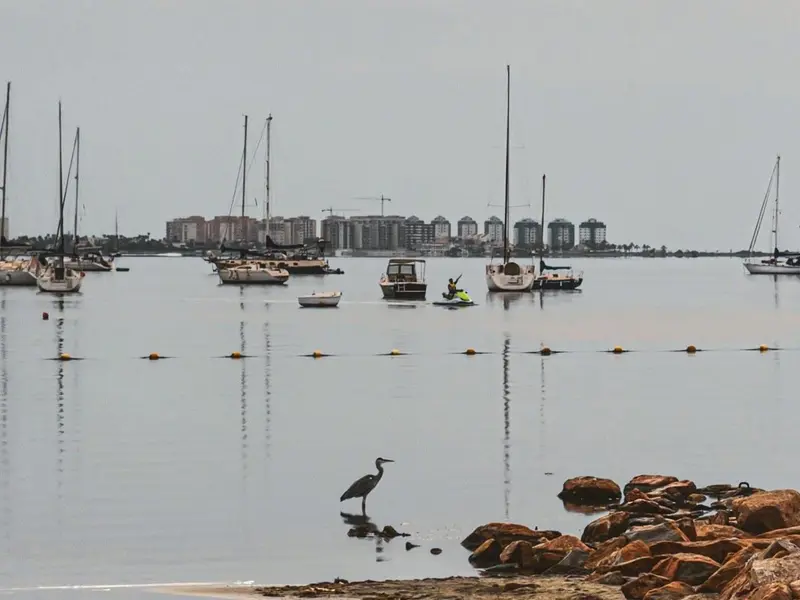 El MITECO y universidades impulsan la evaluación de la recuperación del Mar Menor