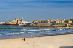 Cádiz recibe ayudas récord por alga invasora Rugulopteryx okamurae