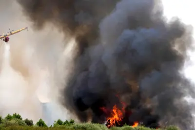 El clima en Europa: sequías, incendios y océanos a temperaturas récord en 2025