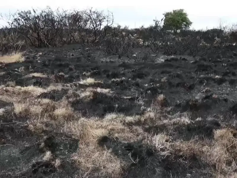 El norte de Gales enfrenta sequía y daños por incendio forestal