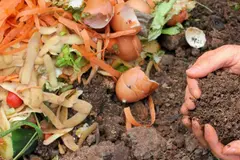 Casa cero residuos en California: una estrategia innovadora para reducir la basura