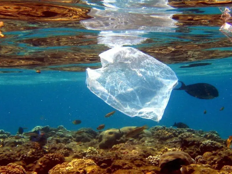 Día Internacional Libre de Bolsas de Plástico 2026: un llamado urgente a reducir el uso de plástico